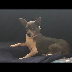 Meet your Posher, Elizabeth